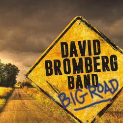 Bromberg, David – Band –