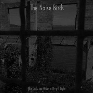 Noise Birds