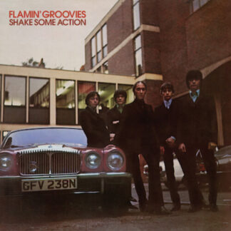 Flamin' Groovies