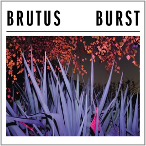 Brutus