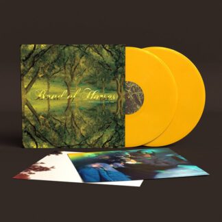 Band-Of-Horses-Everything