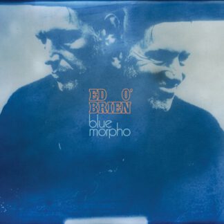 Ed-O-Brien-Blue-Morpho