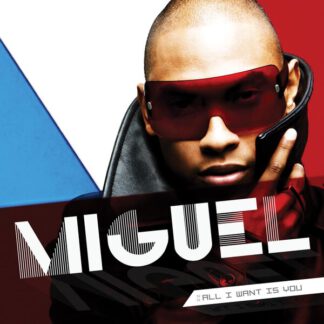 Miguel-all-i-want-is-you