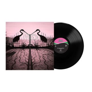 Afghan-Whigs-self-control-blk