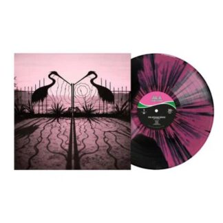 Afghan-Whigs-self-control-cld