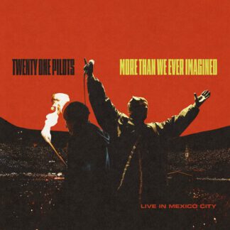 Twenty-One-Pilots-more-than-we-ever-imagined