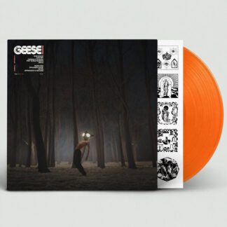 Geese-projector-orange