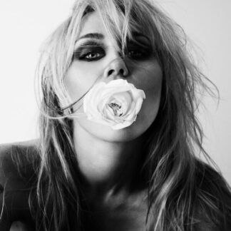 Miley-bass-persuades