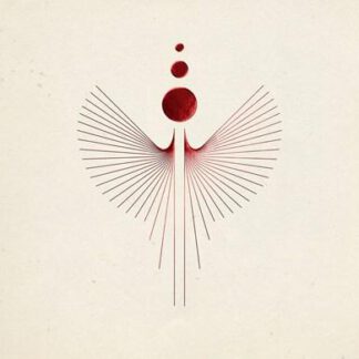 The-Ocean-solaris