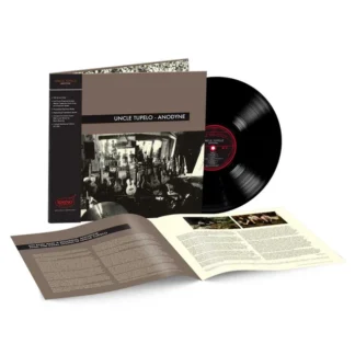 uncle tupelo anodyne