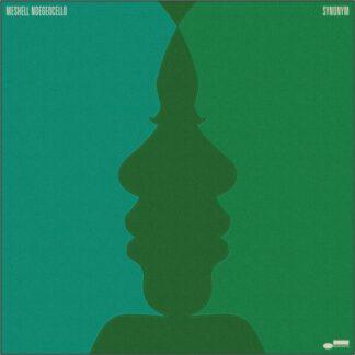 Meshell-Ndegeocello-synonym
