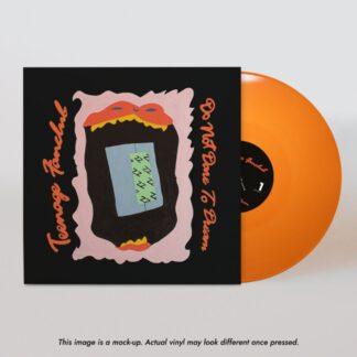 Teenage-Fanclub-to-not-dare-to-dream